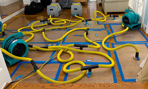 Professional Basement Flood Cleanup technician working in London, WV