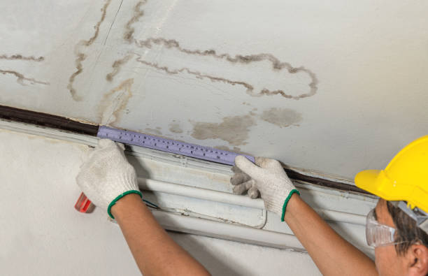 Affordable Basement Flood Cleanup solutions in London, WV